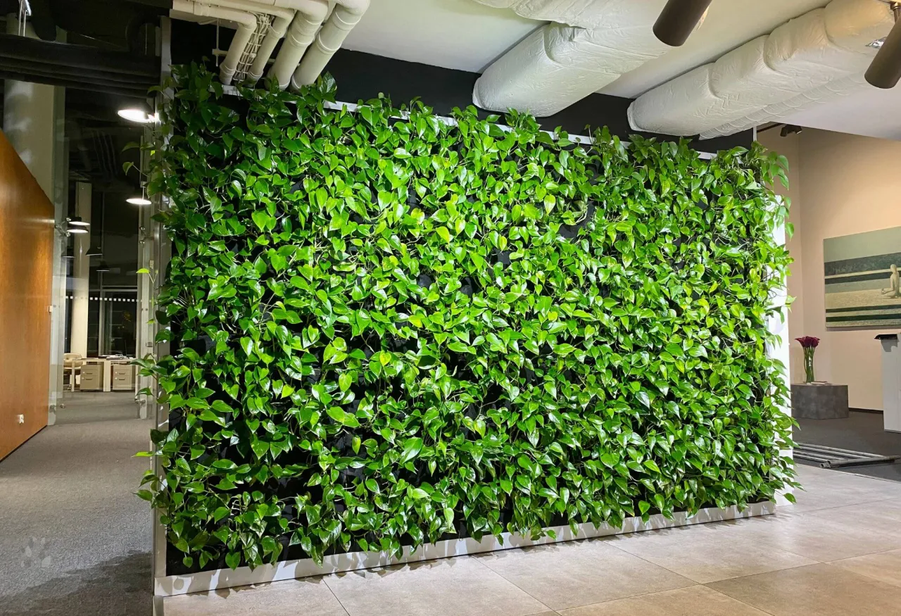 Ogrody wertykalne: Jak zaoszczędzić miejsce i uprawiać więcej?