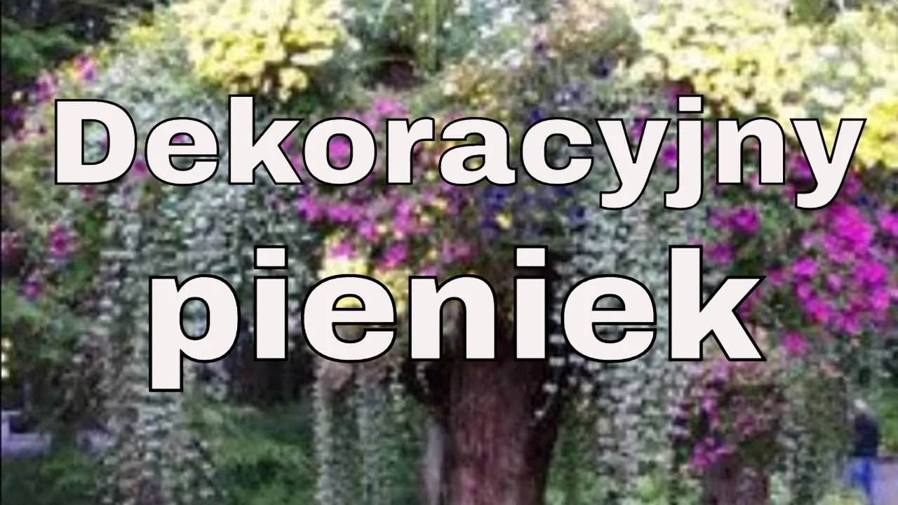 Jak wykorzystać stary pień w ogrodzie: 10 kreatywnych pomysłów na aranżację