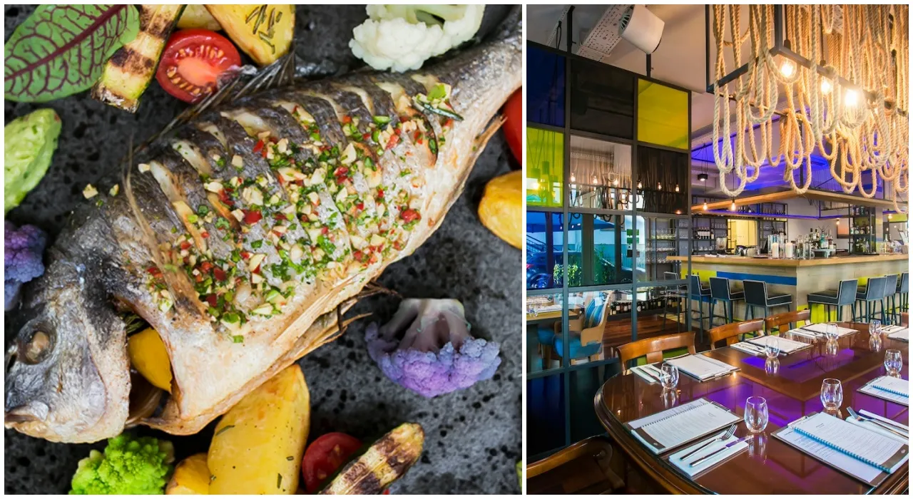 Serock gdzie zjeść – najlepsze restauracje i smaki, które musisz poznać