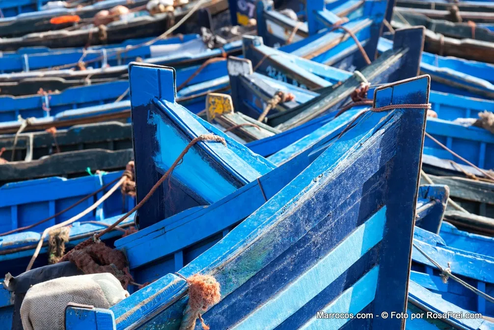 Najciekawsze atrakcje w Essaouirze, które musisz zobaczyć