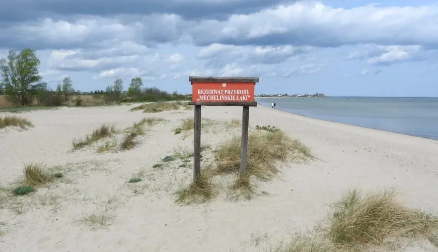 Rezerwat Mechelińskie Łąki: Ptaki, słonorośla, zwiedzanie. Co musisz wiedzieć?