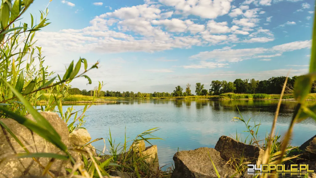 Czy można łowić ryby na Odrze? Sprawdź aktualne przepisy i zasady