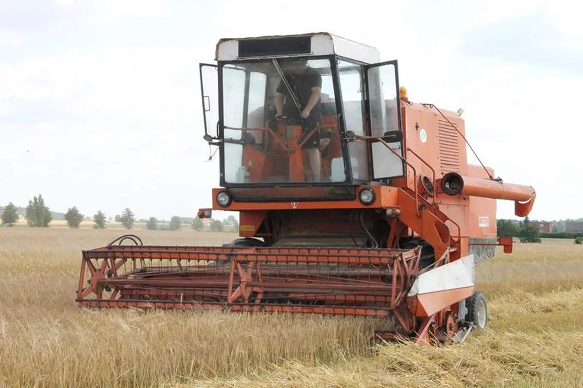 Ile kosztuje kwintal jęczmienia w Radomiu? Ceny, które zaskakują