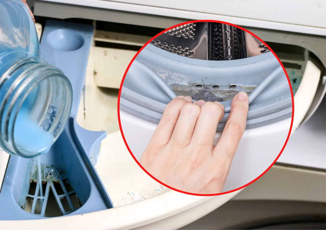 Jak wyczyścić gumę w pralce? Domowe sposoby i środki