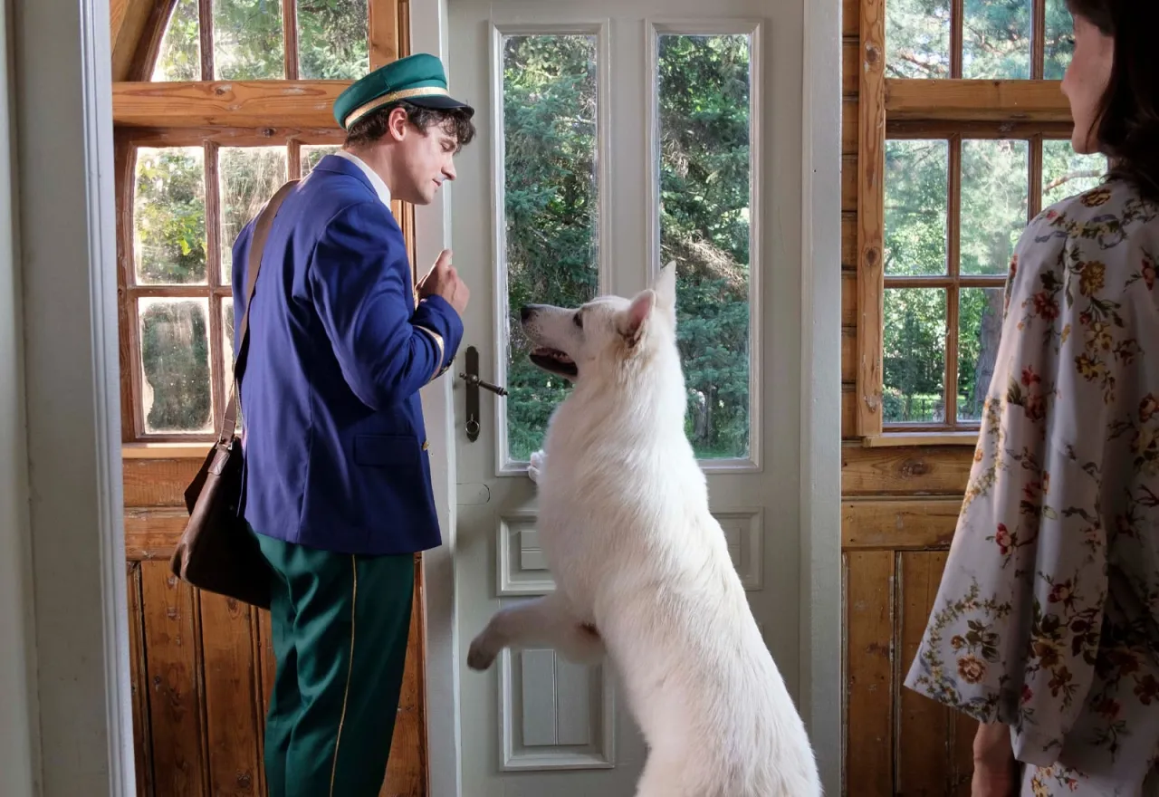 Gdzie obejrzeć film o psie który jeździł koleją w całości online?