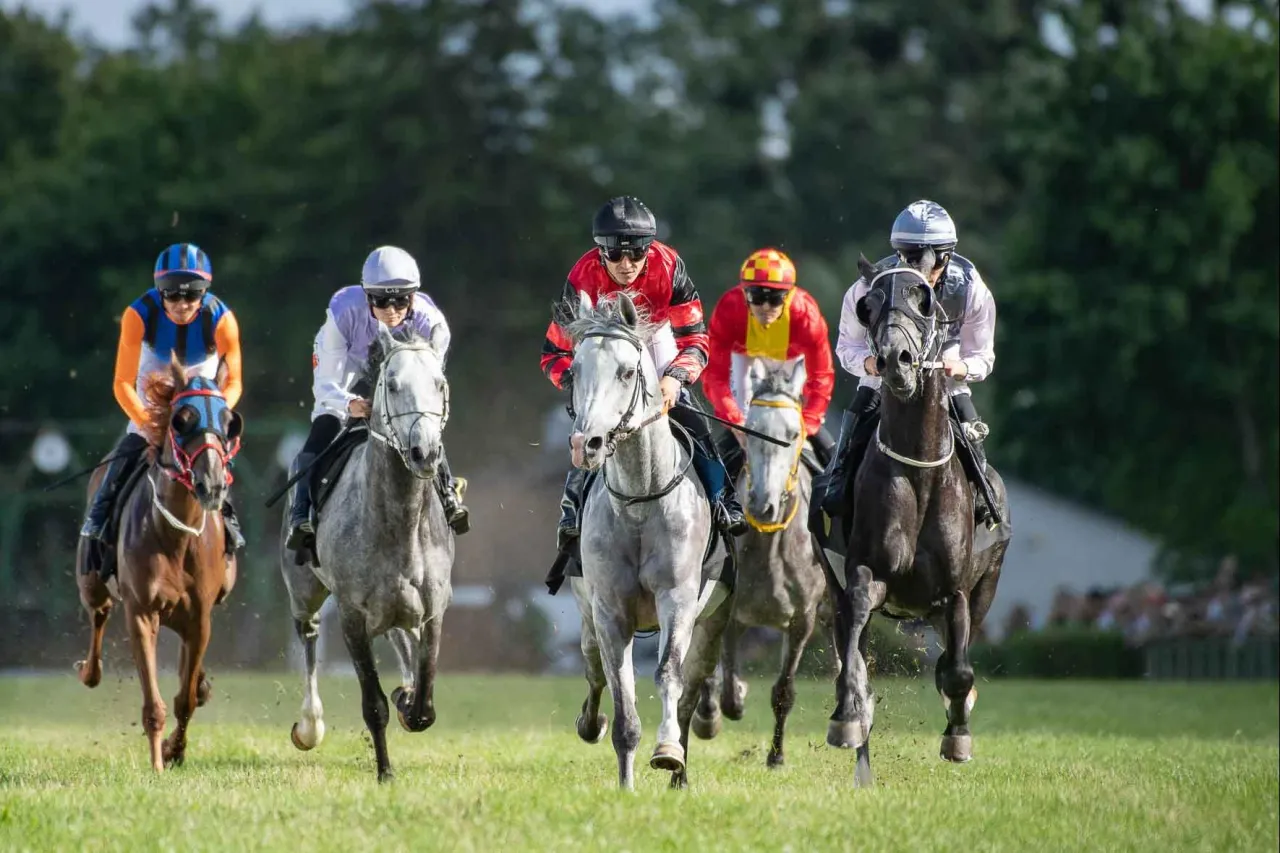 Teren na którym odbywają się gonitwy konne - najważniejsze hipodromy w Polsce