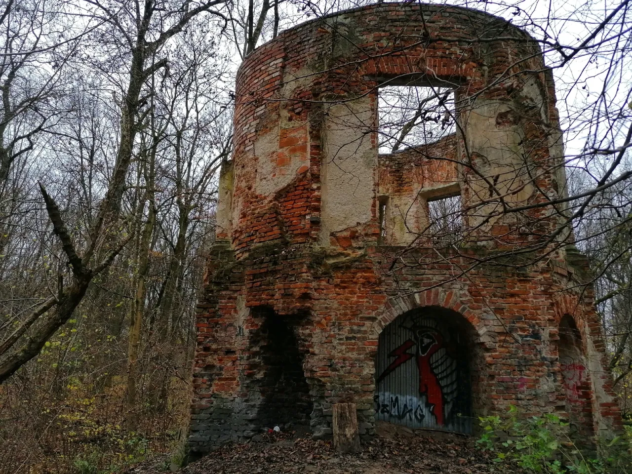 Rezerwat Morysin: dziki ogród królów i przyrodniczy skarb Wilanowa