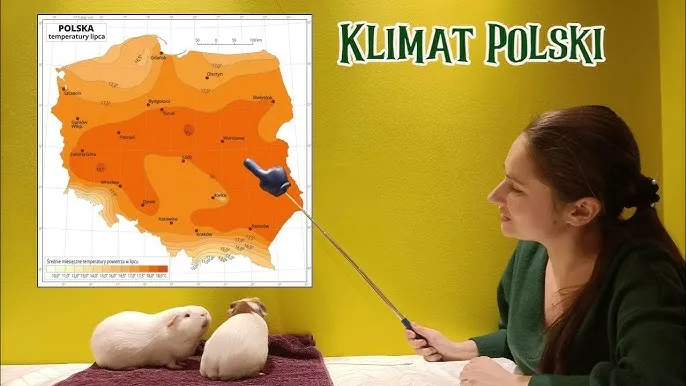 Co kształtuje klimat i opady w Polsce? Odkryj kluczowe czynniki