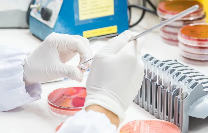 Biotechnologia medyczna co to? Odkryj jej znaczenie i zastosowania