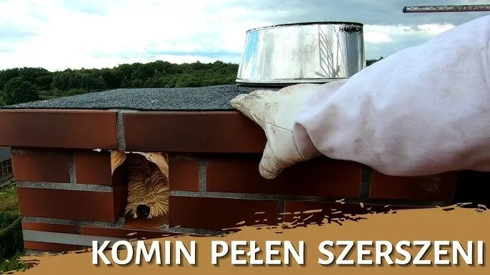 Jak usunąć pszczoły z komina: bezpieczne metody i porady ekspertów