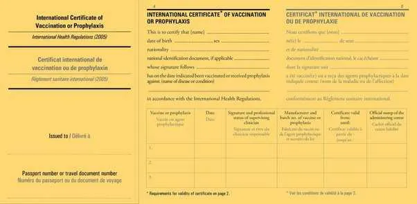 Zanzibar szczepienia i wymogi zdrowotne które powinieneś poznać