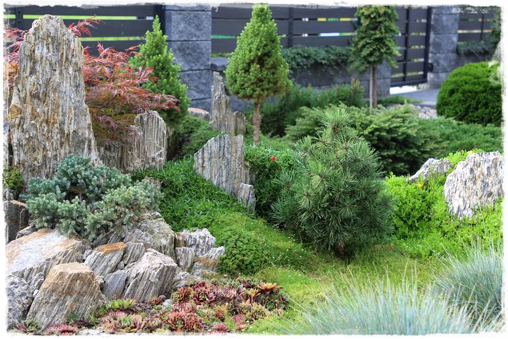 Jak obliczyć ile potrzeba kamienia dekoracyjnego na działkę, aby nie przepłacić