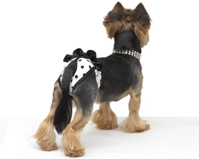 Majtki dla psa na cieczkę DIY: Zrób to sam! Wygoda i higiena.