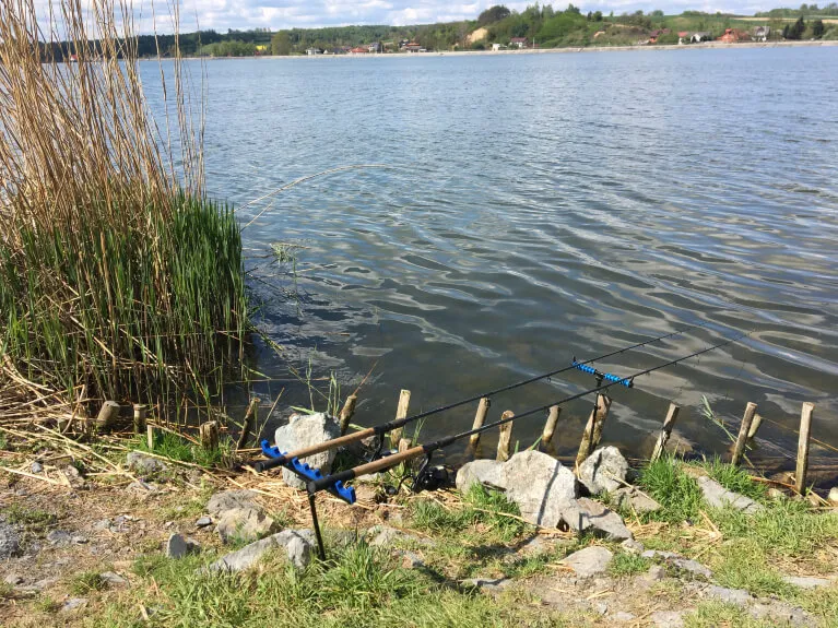 Gdzie na ryby w Świętokrzyskiem? Odkryj najlepsze lokalizacje