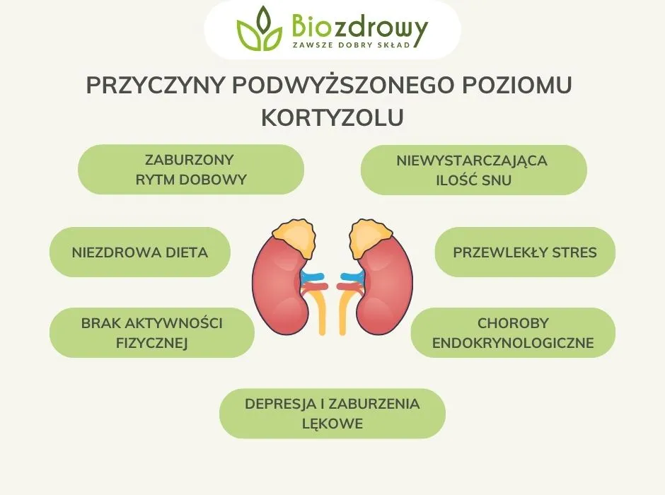 Jak obniżyć kortyzol? Sprawdzone suplementy i porady eksperta