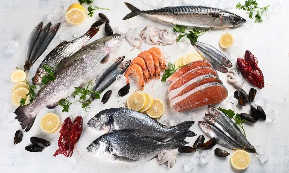 Czy pies może jeść łososia wędzonego? Dowiedz się o zagrożeniach zdrowotnych