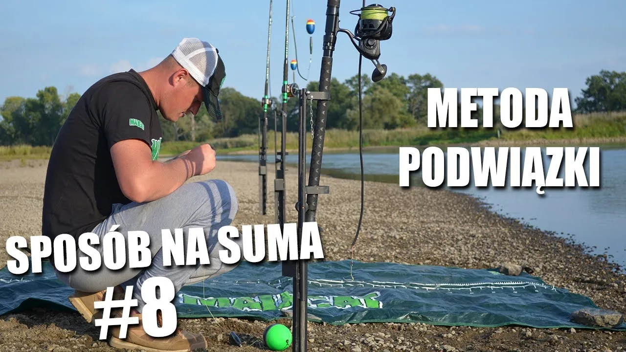 Jak skutecznie zbroić żywca na suma, unikając typowych błędów