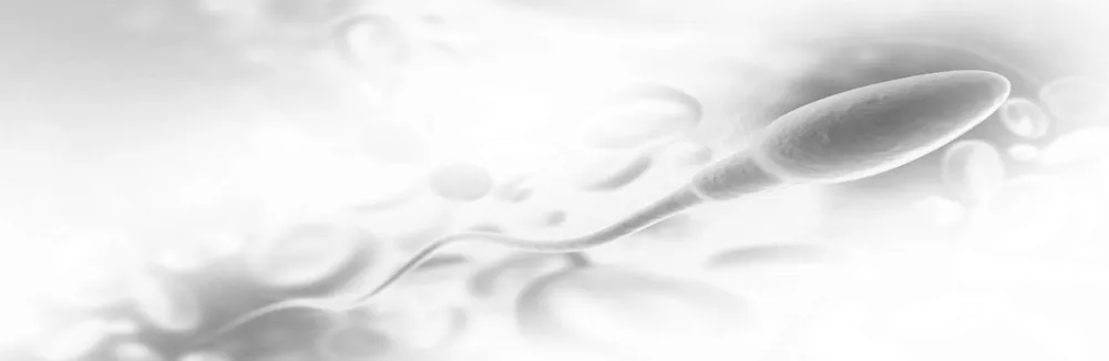 Jak przewieźć nasienie do badania, aby uniknąć błędów i strat Jak przewieźć nasienie do badania, aby uniknąć błędów i strat