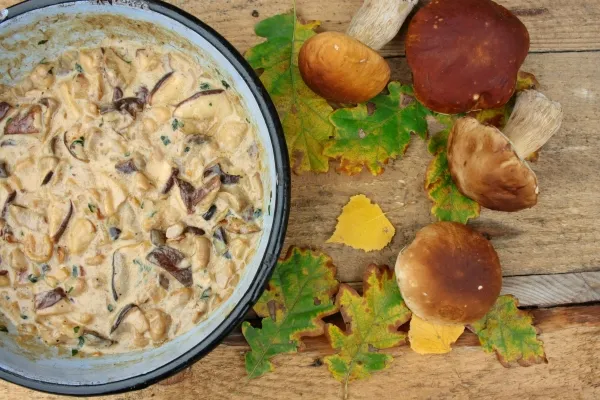 Z czym sos grzybowy? Odkryj najlepsze dania do podania