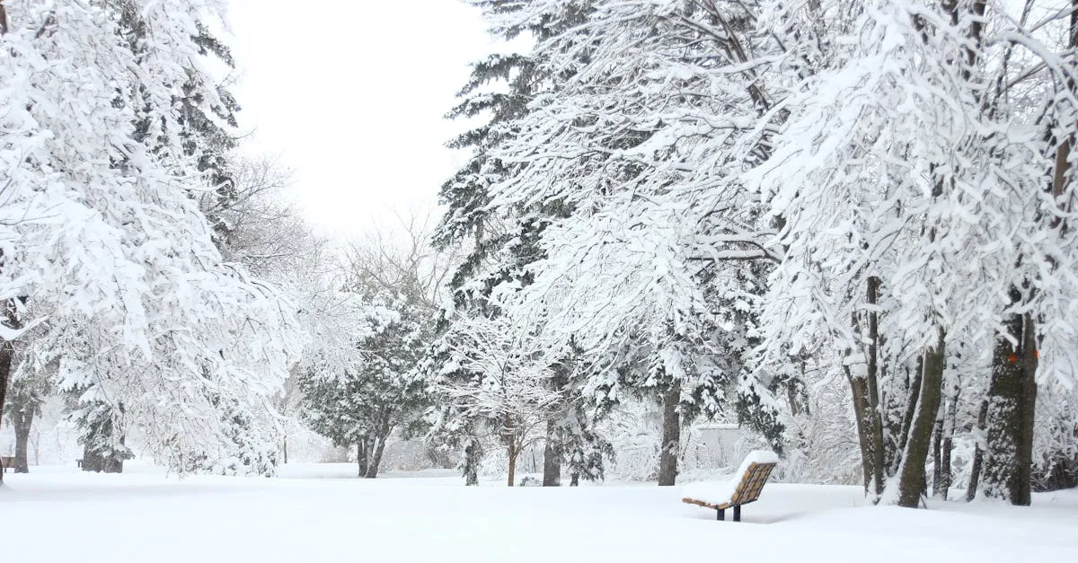 Atrakcje zimą i ciekawe miejsca do zwiedzania wokół Polanica-Zdrój