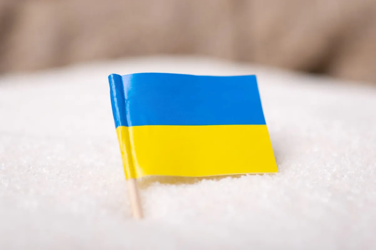 Co i ile można przewieźć z Ukrainy: Limity i przepisy celne