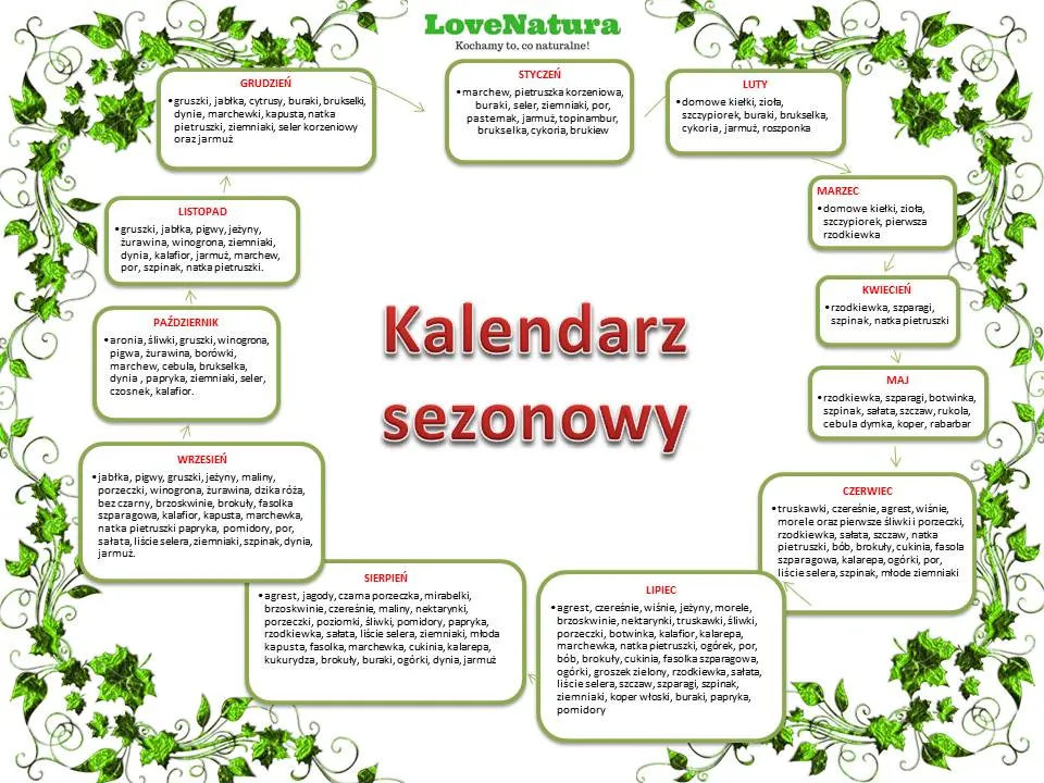 Kiedy polskie jabłka smakują najlepiej? Pełny kalendarz sezonu!