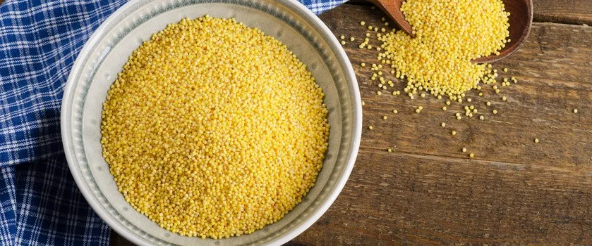 Ile kcal ma kasza jaglana? Zaskakujące fakty o jej kaloriach