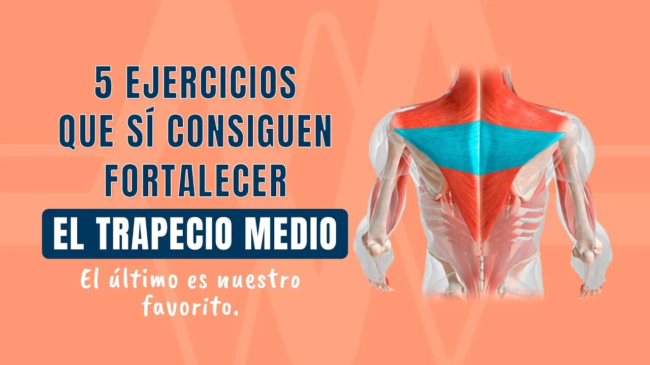 Ejercicios para fortalecer el músculo trapecio y evitar lesiones