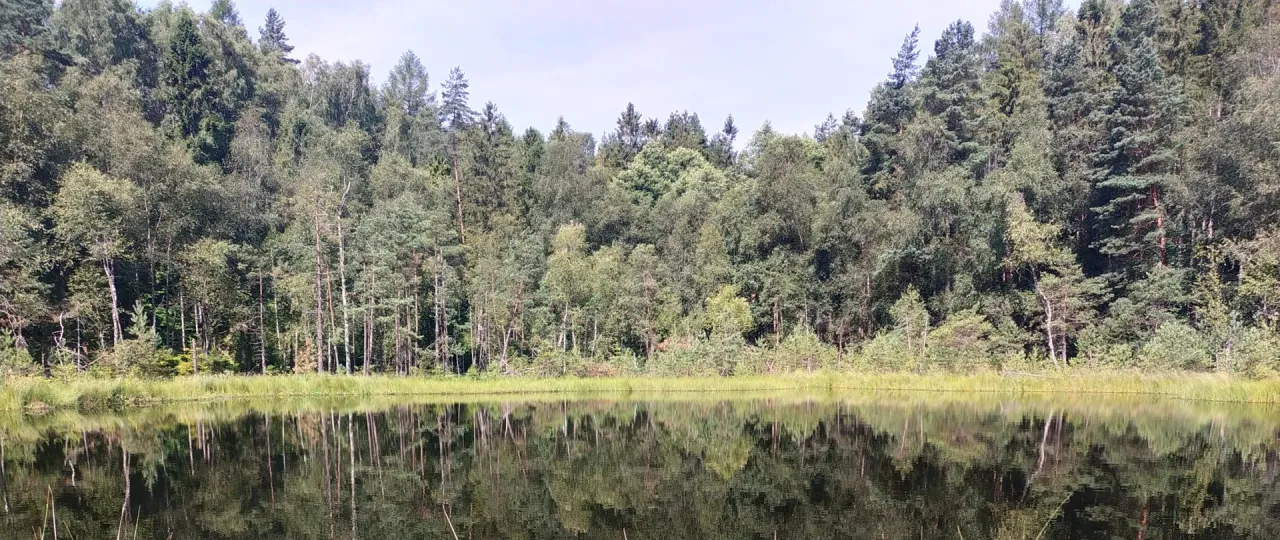 Rezerwaty przyrody pomorskie: Odkryj piękno i bioróżnorodność regionu