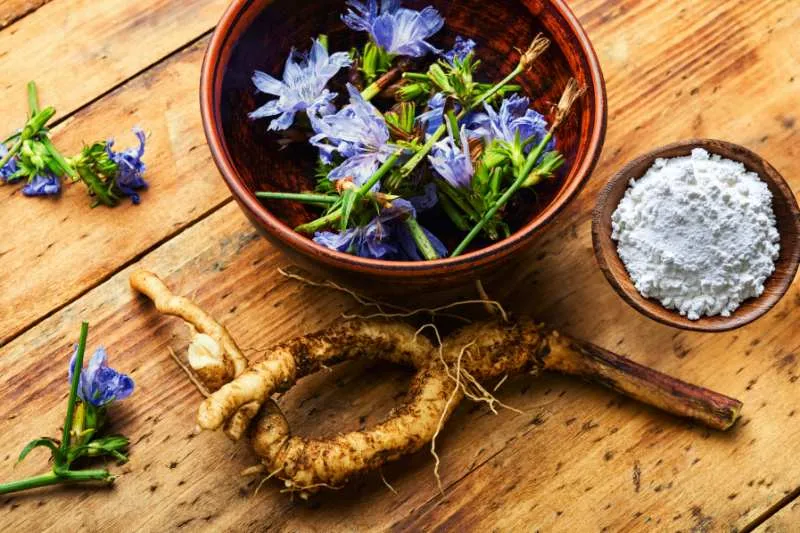 Inulina kontra SIBO: Korzyści i zasady stosowania