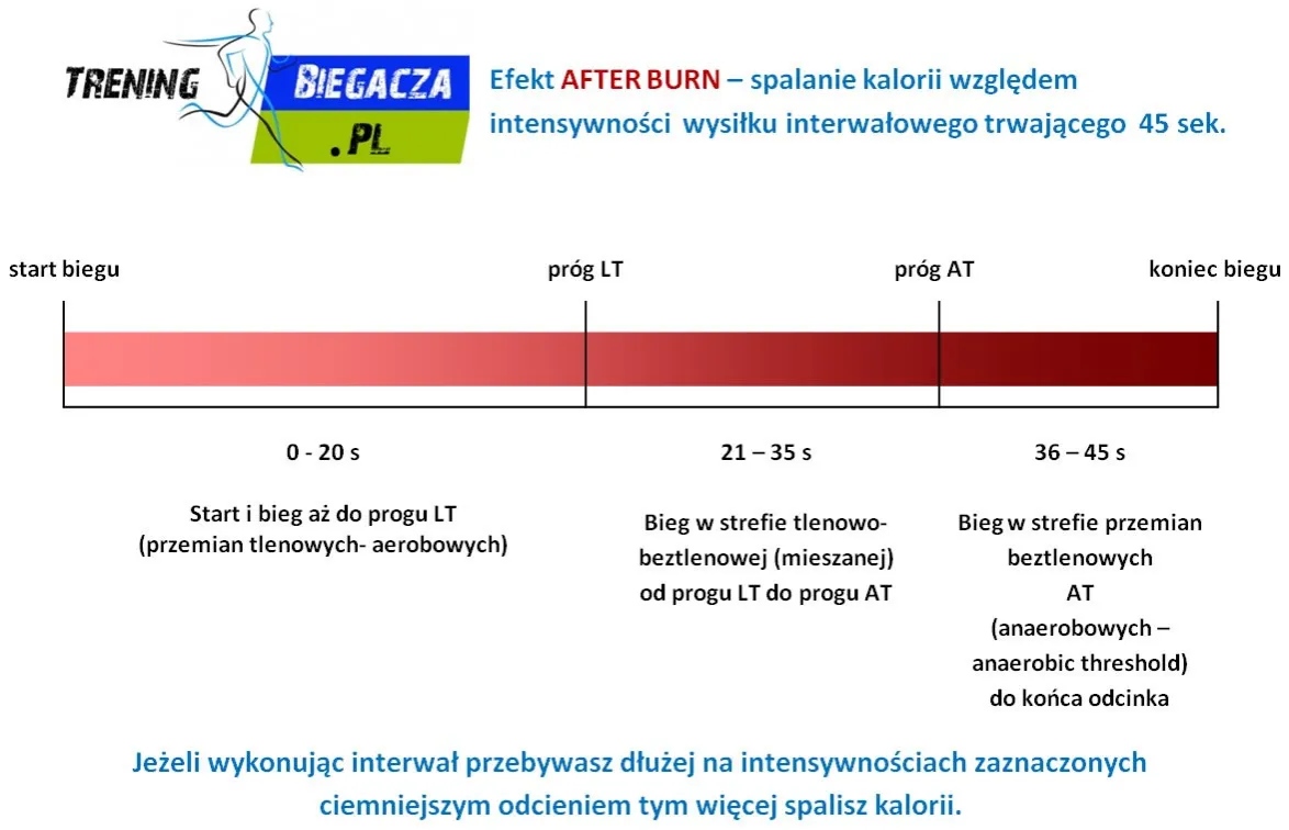 Ile kalorii spala CrossFit? Liczby, WOD-y i efekt afterburn