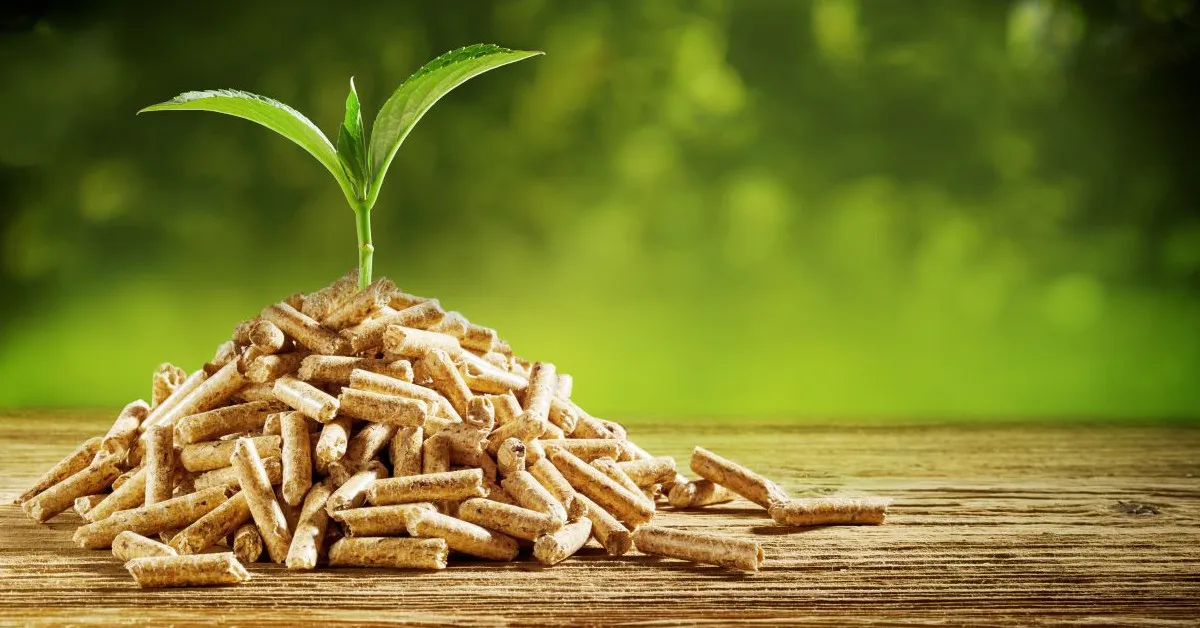 Ile dopłaty do pelletu można dostać? Sprawdź warunki i korzyści