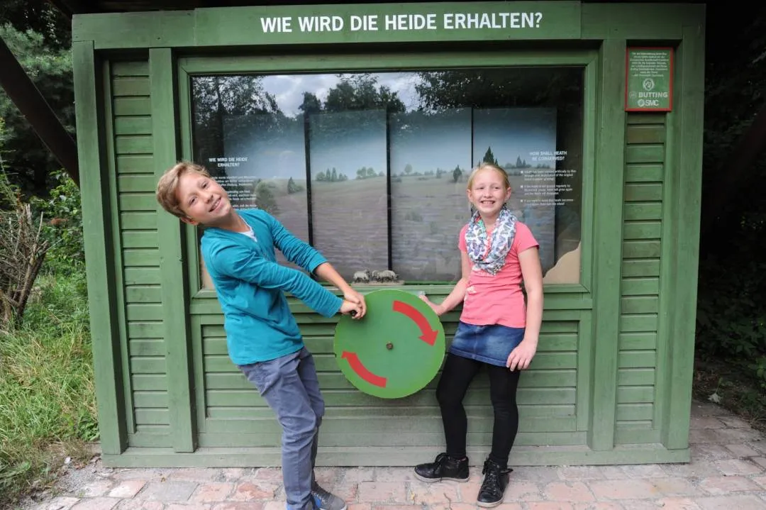 Lüneburger Heide: Attraktionen für jeden Geschmack | Tipps & Infos