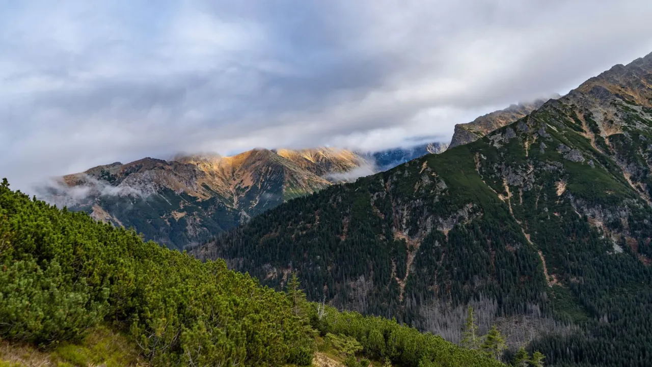Gmina Bukowina Tatrzańska kontakt - wszystkie niezbędne informacje