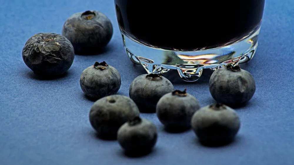 Jak zrobić nalewkę z borówki amerykańskiej – prosty przepis krok po kroku