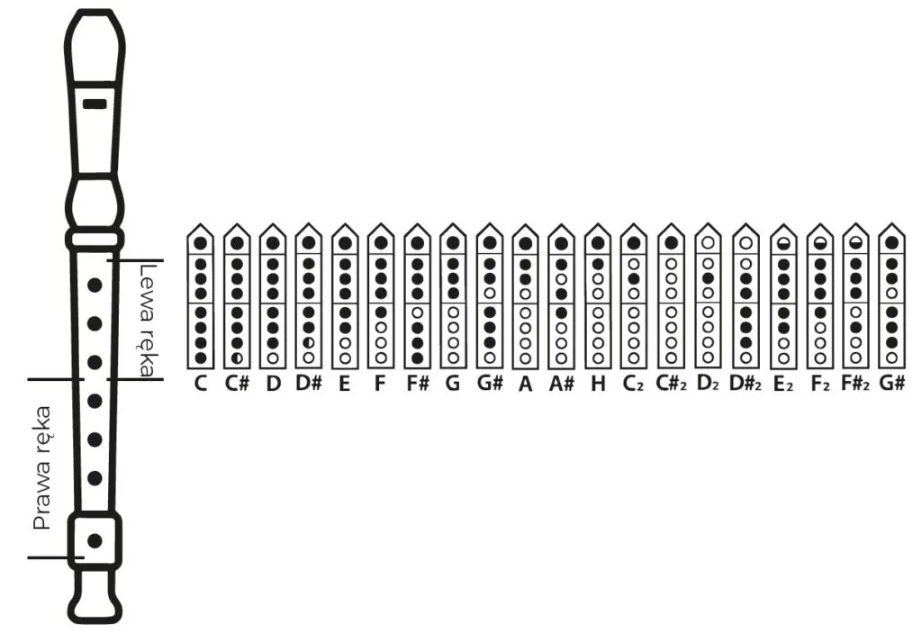 Jak zagrać B na flecie - proste techniki i wskazówki dla początkujących Jak zagrać B na flecie - proste techniki i wskazówki dla początkujących