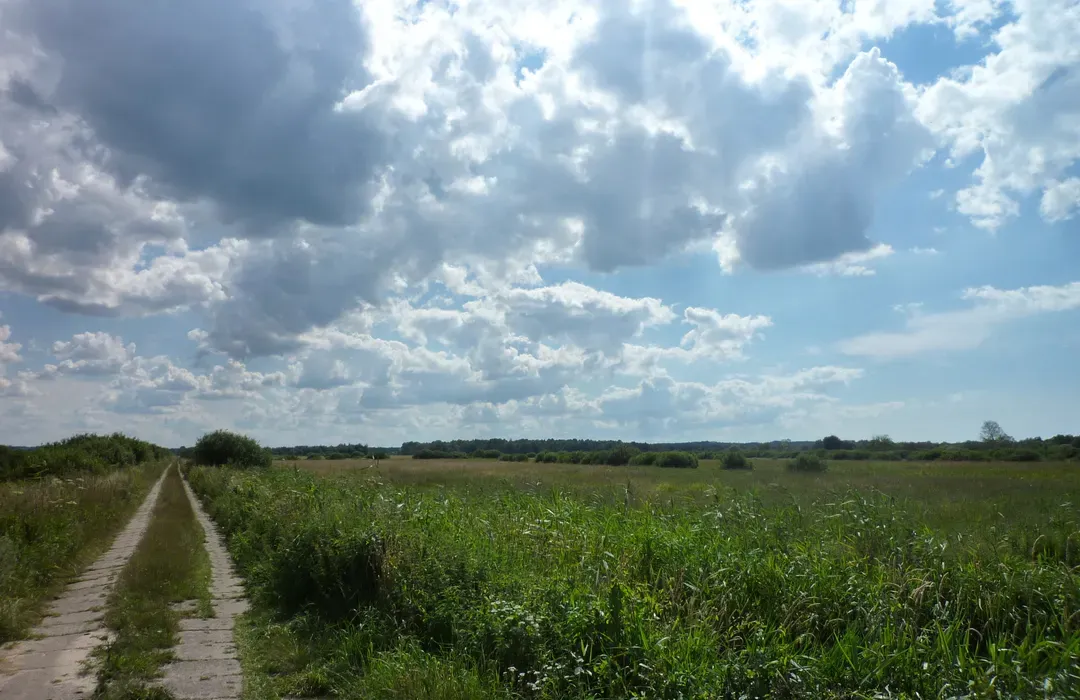Trasa rowerowa Rowy Czołpino: piękne widoki i praktyczne porady Trasa rowerowa Rowy Czołpino: piękne widoki i praktyczne porady
