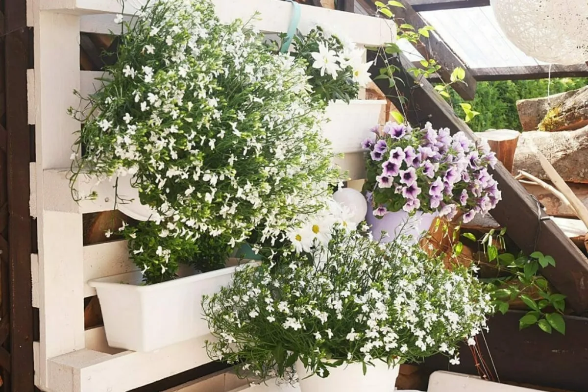 Jakie kwiaty do kwietnika z palet - najlepsze rośliny na balkon