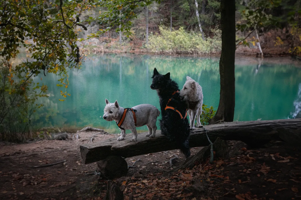 Kolorowe jeziorka kiedy najlepiej jechać, aby uniknąć tłumów