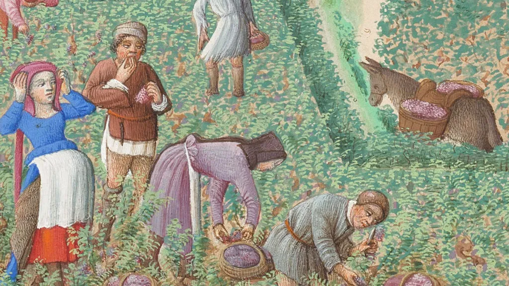 Skąd się wzięła nazwa średniowiecze? Odkryj jej fascynującą historię