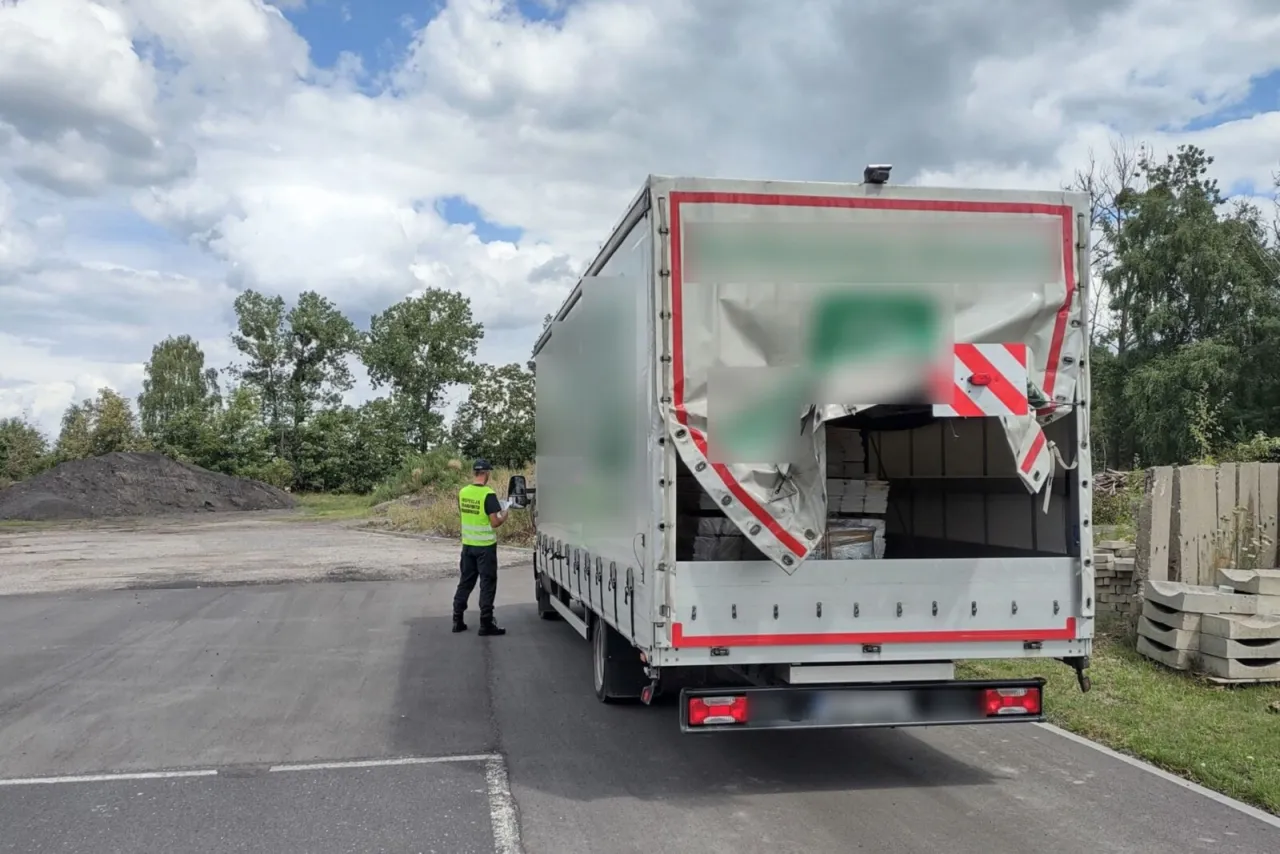 Jakie prawo jazdy potrzebne do busa na bliźniakach? Sprawdź teraz!