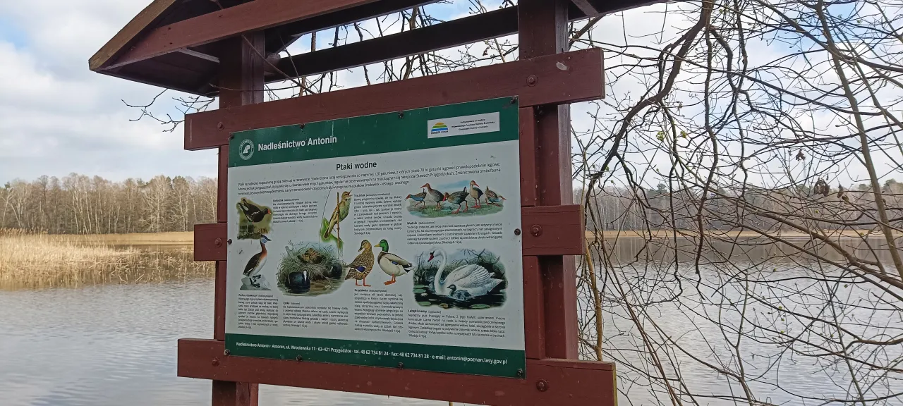 Rezerwat Wydymacz: Przewodnik po Perle Wielkopolski Odkryj go!