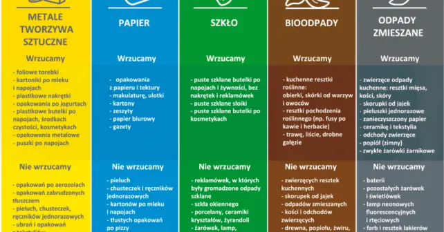 Gdzie wyrzucić śmieci: kompletny poradnik segregacji odpadów komunalnych