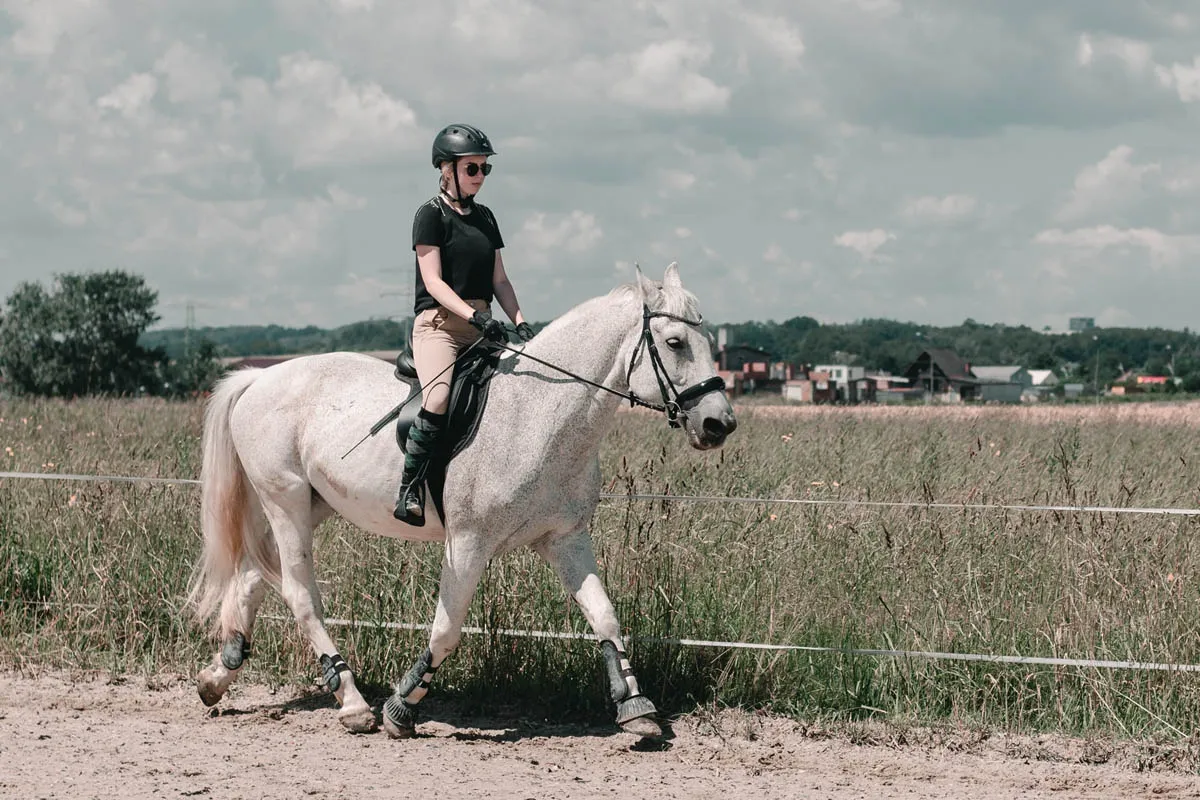 Chody konia: Rodzaje, takty, różnice zostań ekspertem!