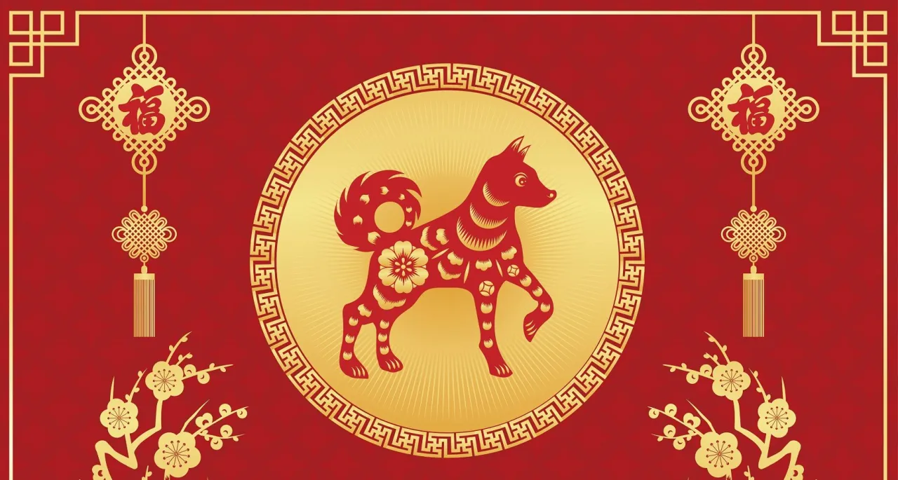 Pies jako chiński znak zodiaku: poznaj jego charakterystykę