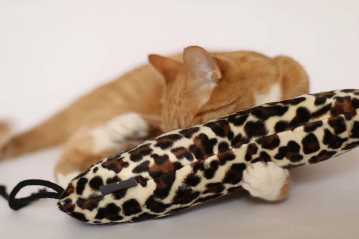 Zabawki z kocimiętką, które pobudzą Twojego kota do zabawy Zabawki z kocimiętką, które pobudzą Twojego kota do zabawy