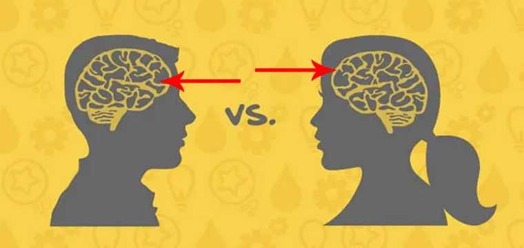 Mózg kobiety vs. mężczyzny: Jak zrozumieć różnice w związku?