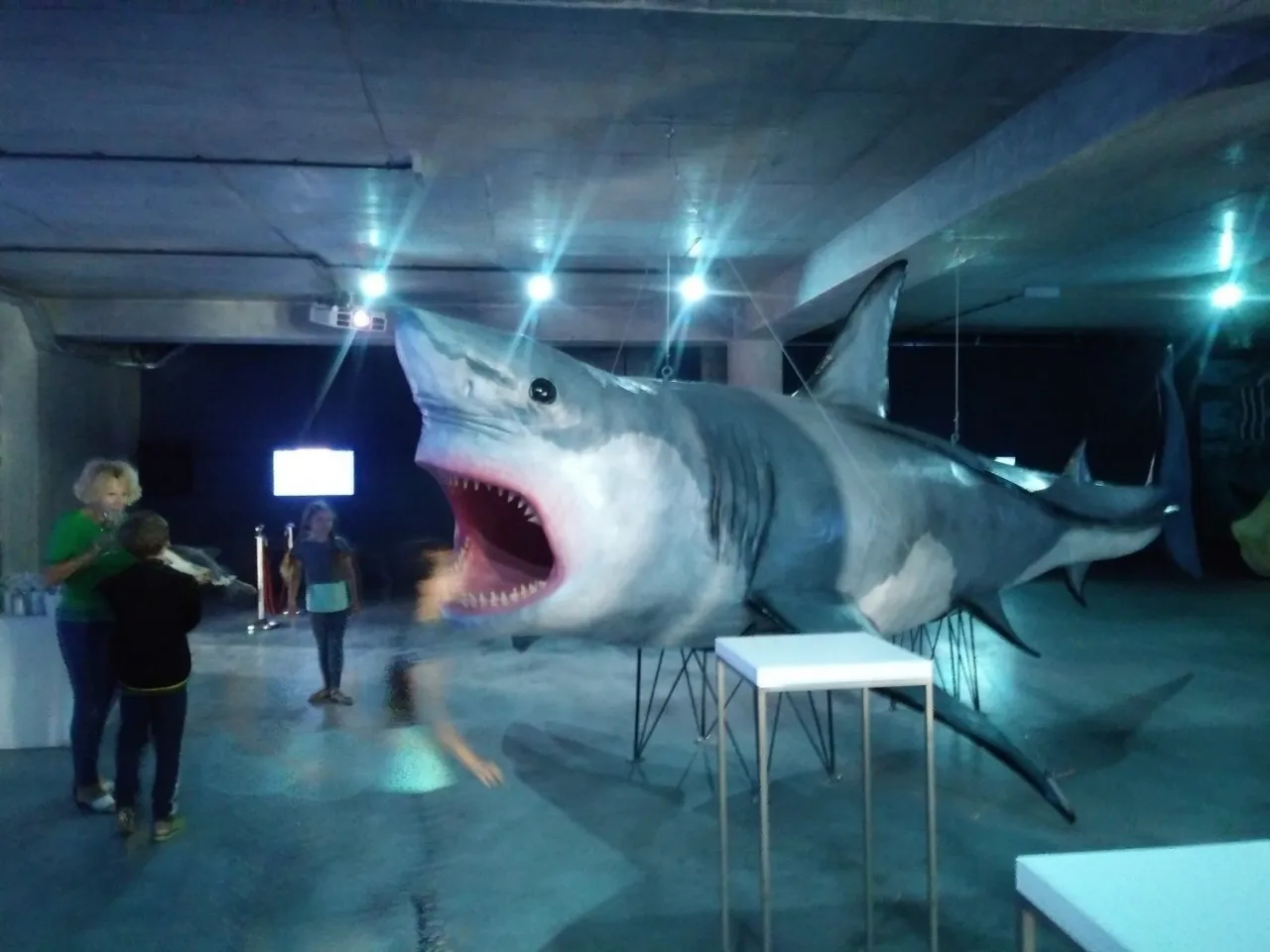 Oceanarium w Międzyzdrojach - opinie gości o wartościach i cenach