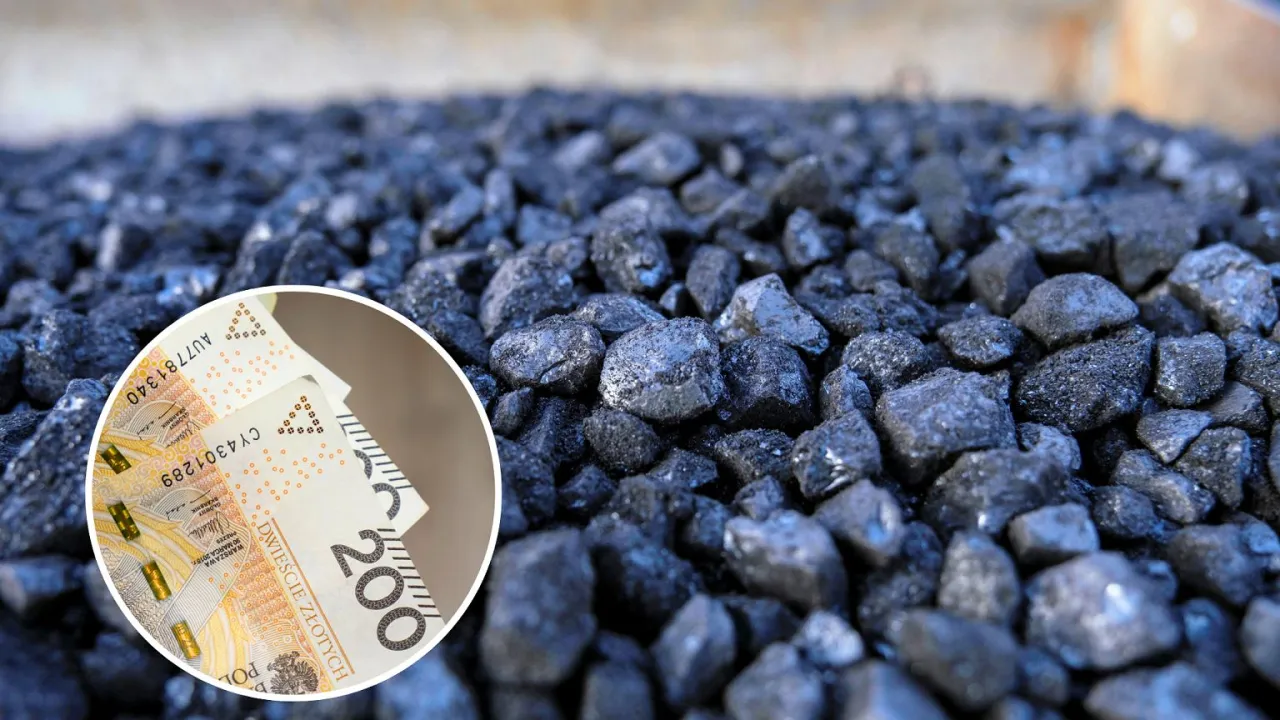 Jakie są aktualne ceny węgla w Biedronce i gdzie go kupić?