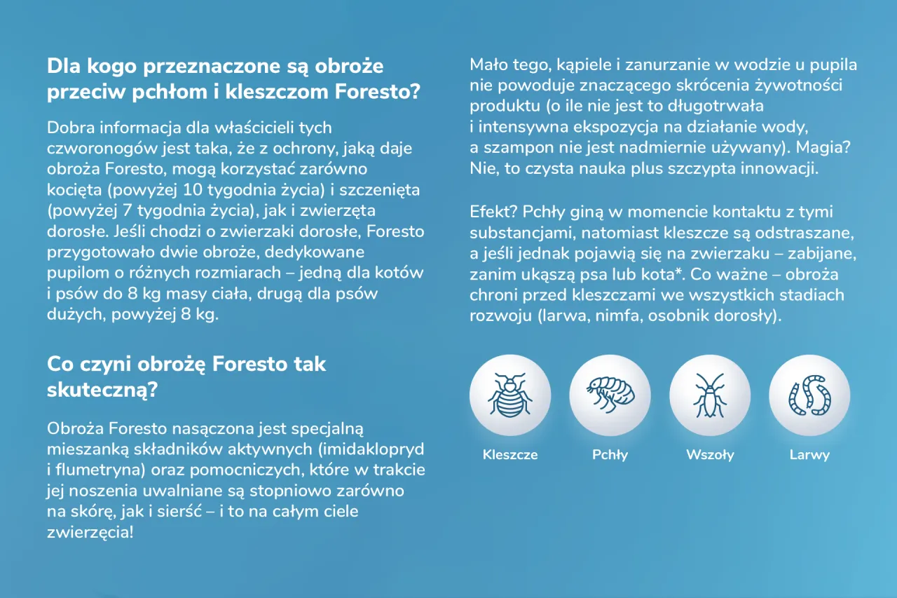 Obroża Foresto od jakiego wieku - ważne informacje dla właścicieli zwierząt